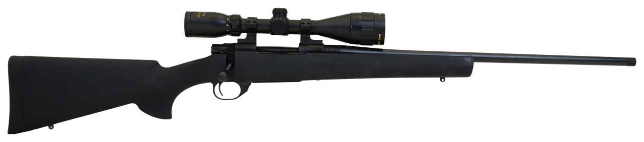 Vizards Guns and Ammo