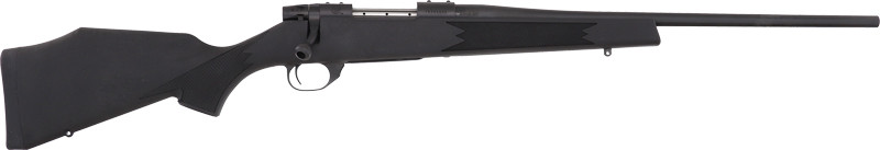 Vizards Guns and Ammo