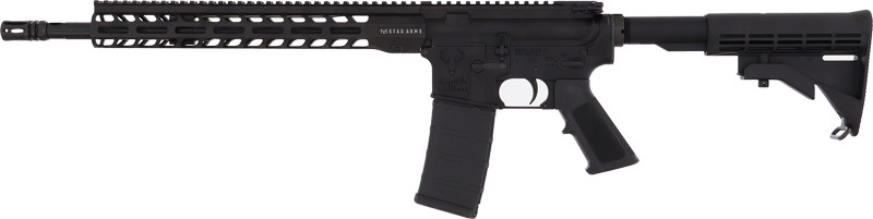 Vizards Guns and Ammo