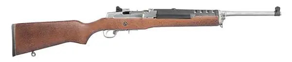 Vizards Guns and Ammo