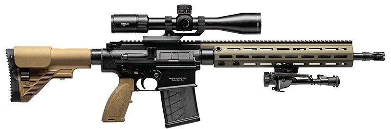 Vizards Guns and Ammo