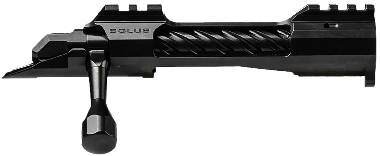 Vizards Guns and Ammo