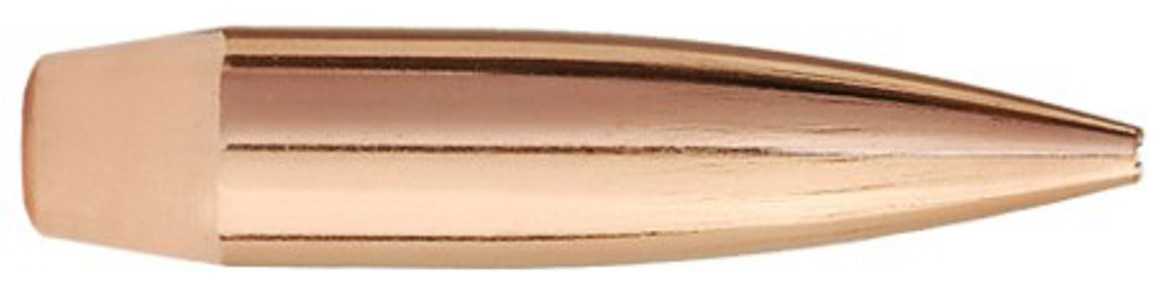 Vizards Guns and Ammo