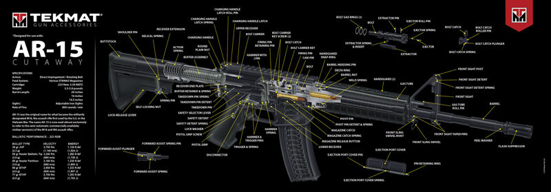 Vizards Guns and Ammo