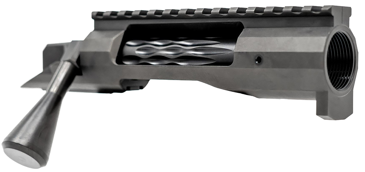 Vizards Guns and Ammo