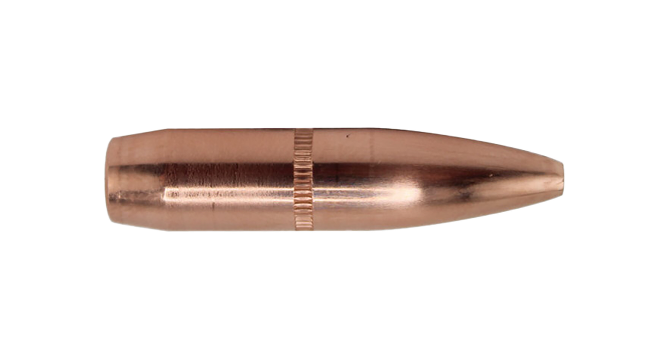 Vizards Guns and Ammo
