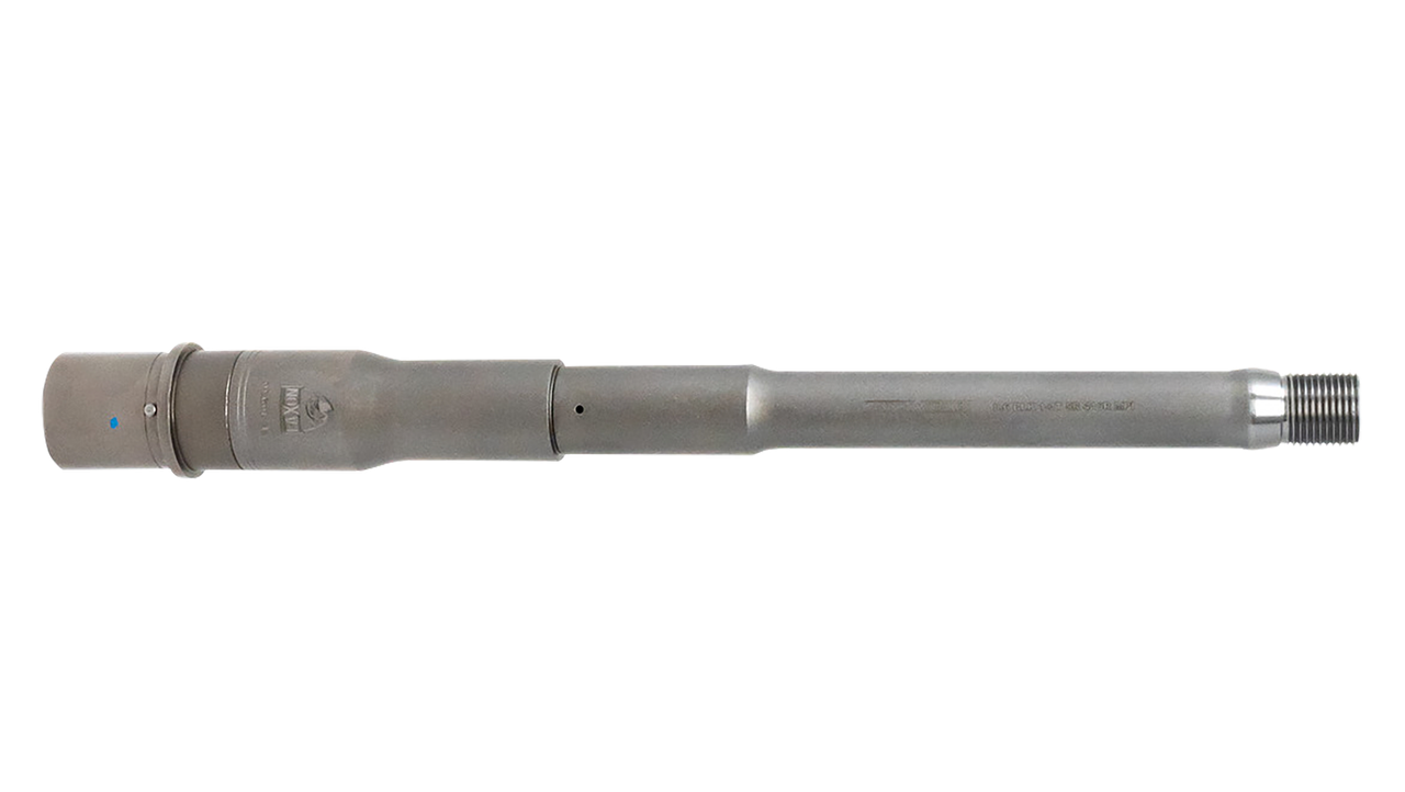 Vizards Guns and Ammo