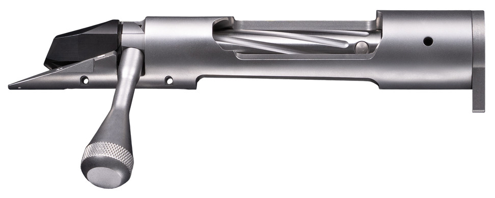 Vizards Guns and Ammo
