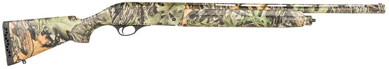 Vizards Guns and Ammo