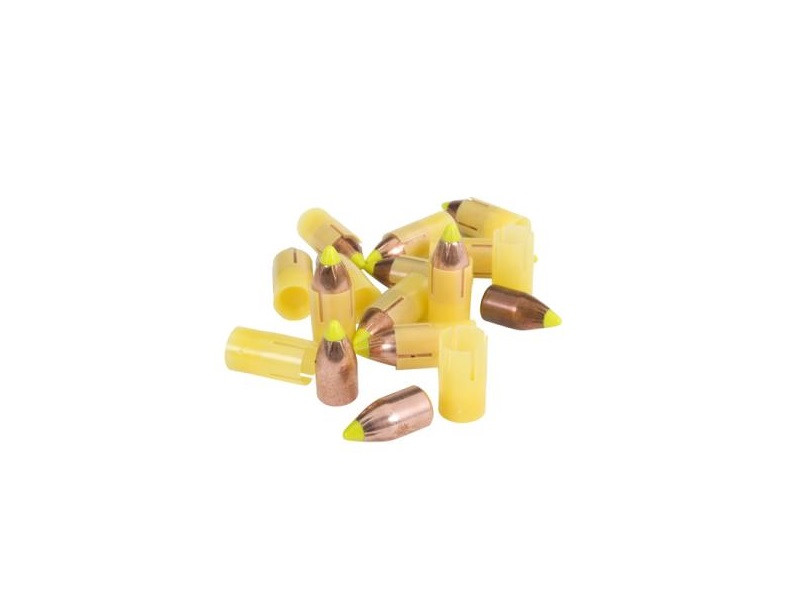 Vizards Guns and Ammo