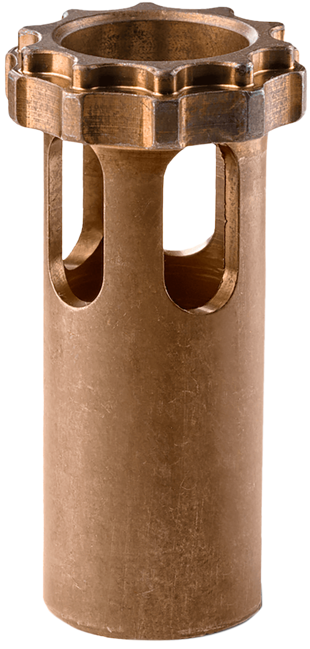 Vizards Guns and Ammo