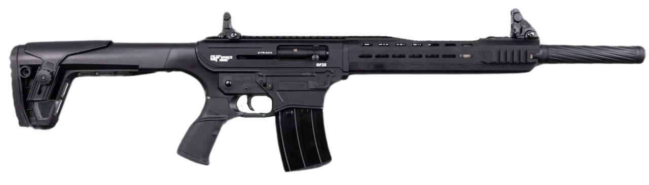 Vizards Guns and Ammo