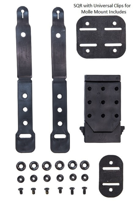 Vizards Guns and Ammo
