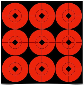 Vizards Guns and Ammo