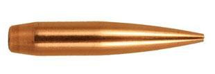Vizards Guns and Ammo