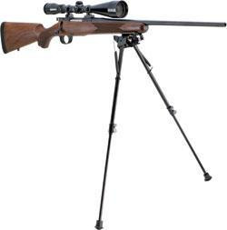 Vizards Guns and Ammo