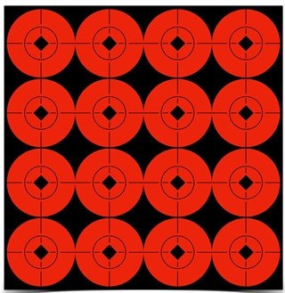 Vizards Guns and Ammo