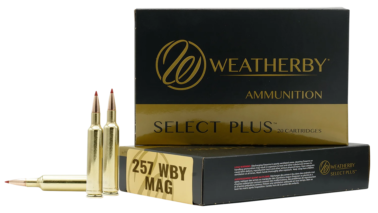 Vizards Guns and Ammo