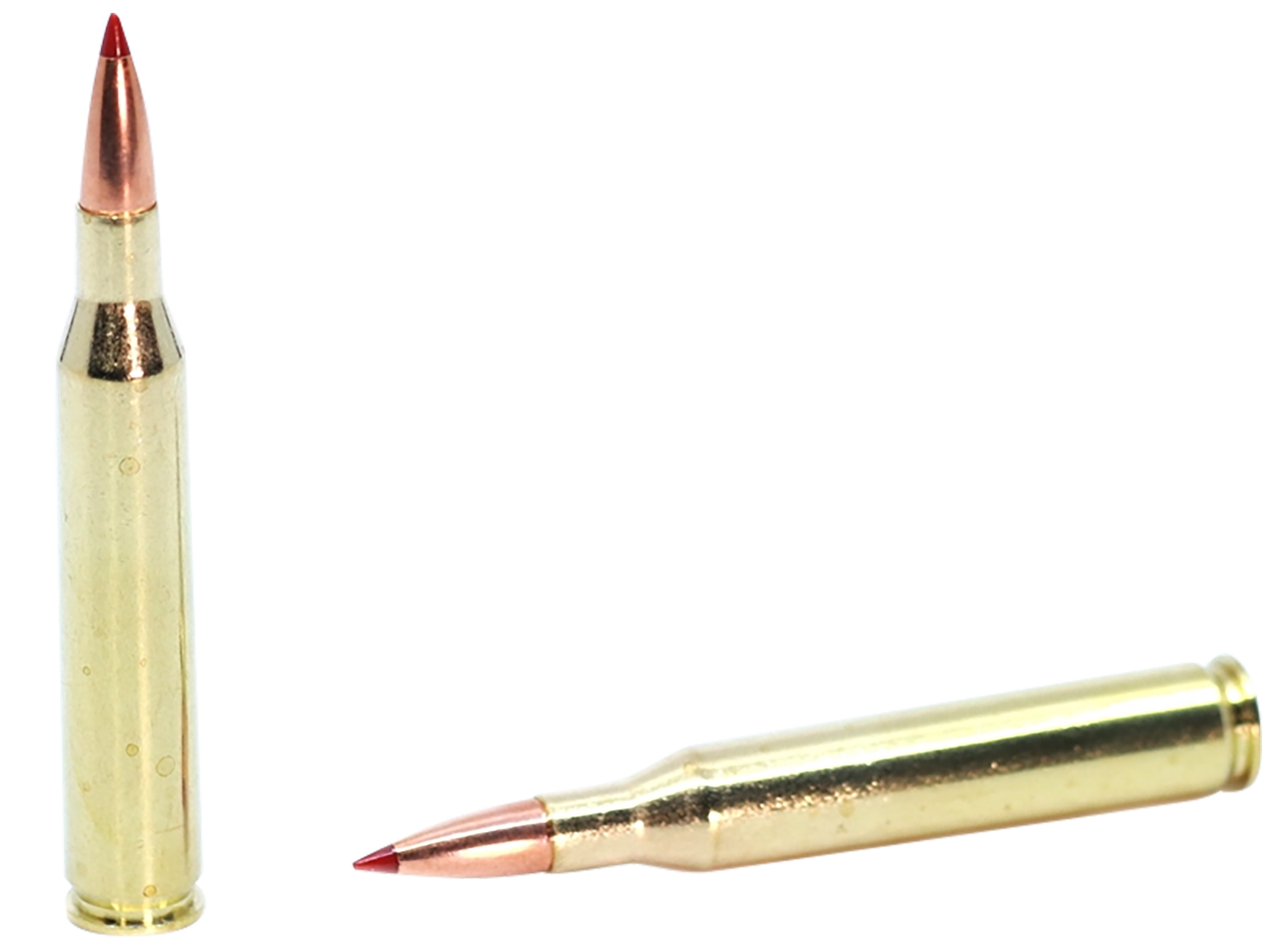 Vizards Guns and Ammo