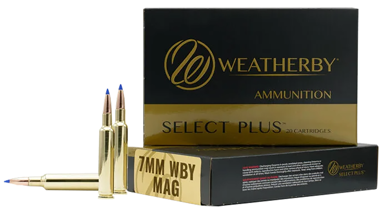 Vizards Guns and Ammo