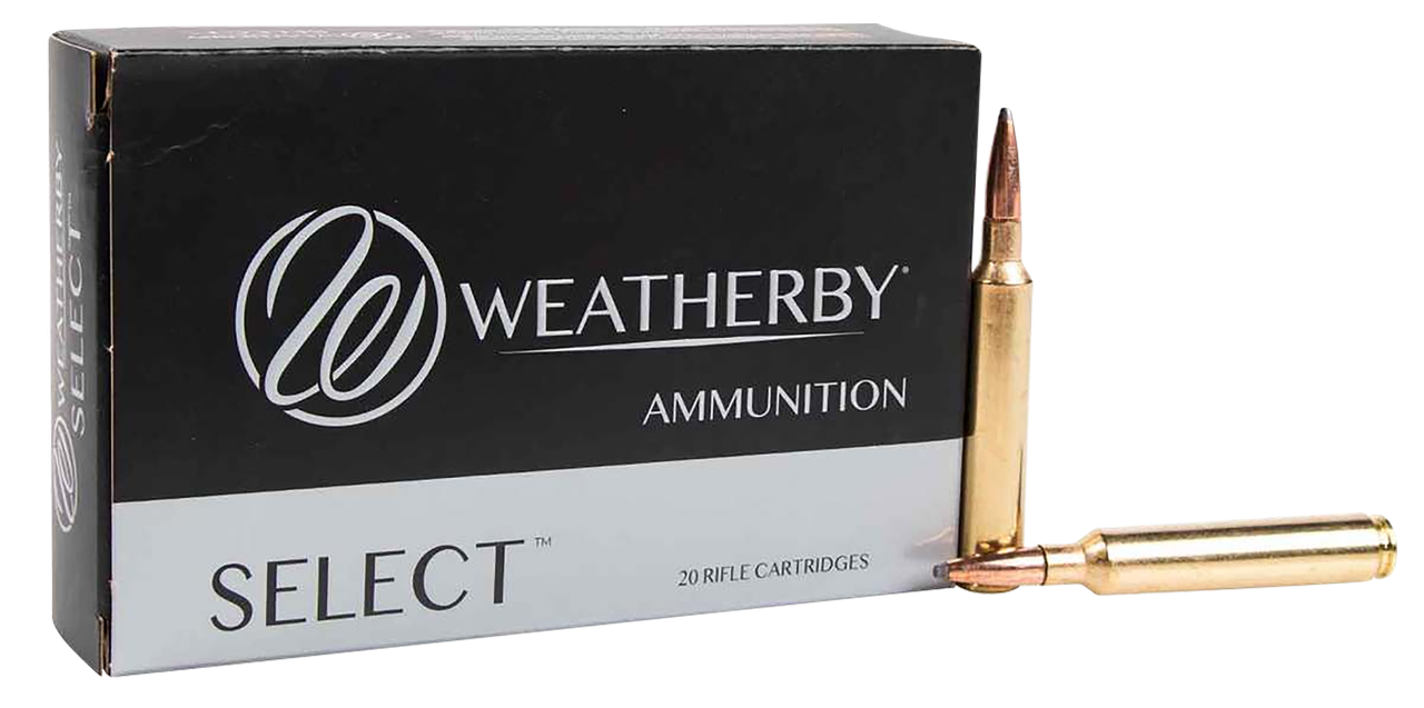 Vizards Guns and Ammo