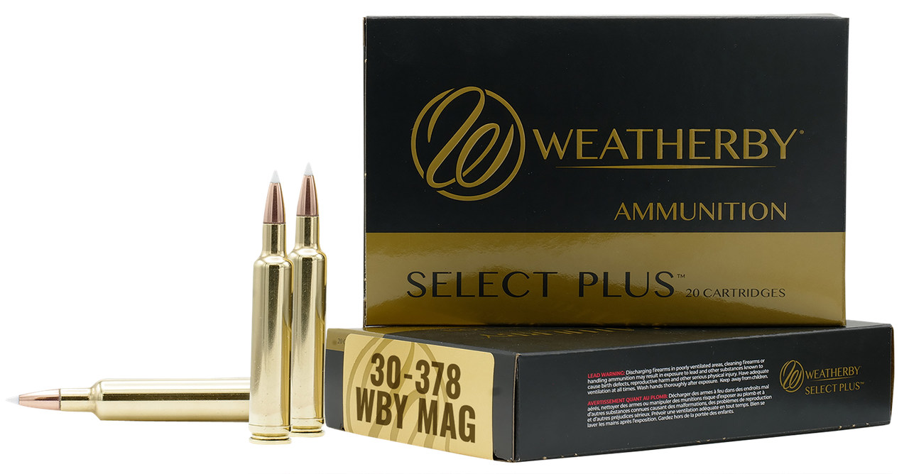 Vizards Guns and Ammo