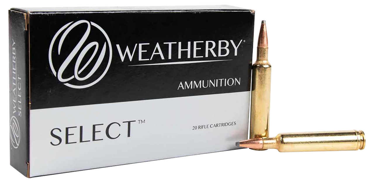 Vizards Guns and Ammo
