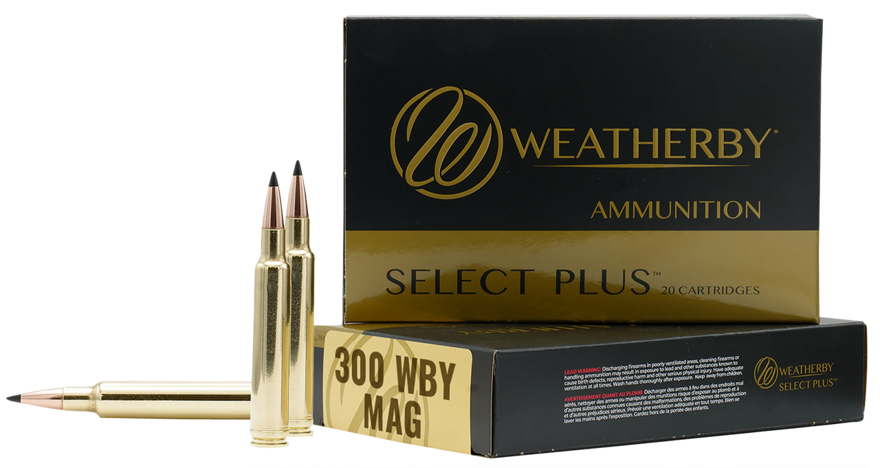 Vizards Guns and Ammo
