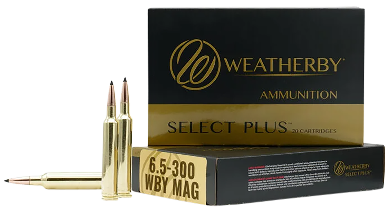 Vizards Guns and Ammo