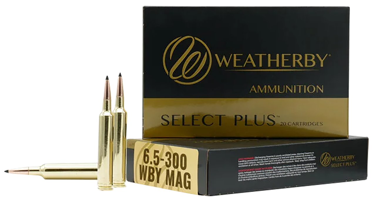 Vizards Guns and Ammo