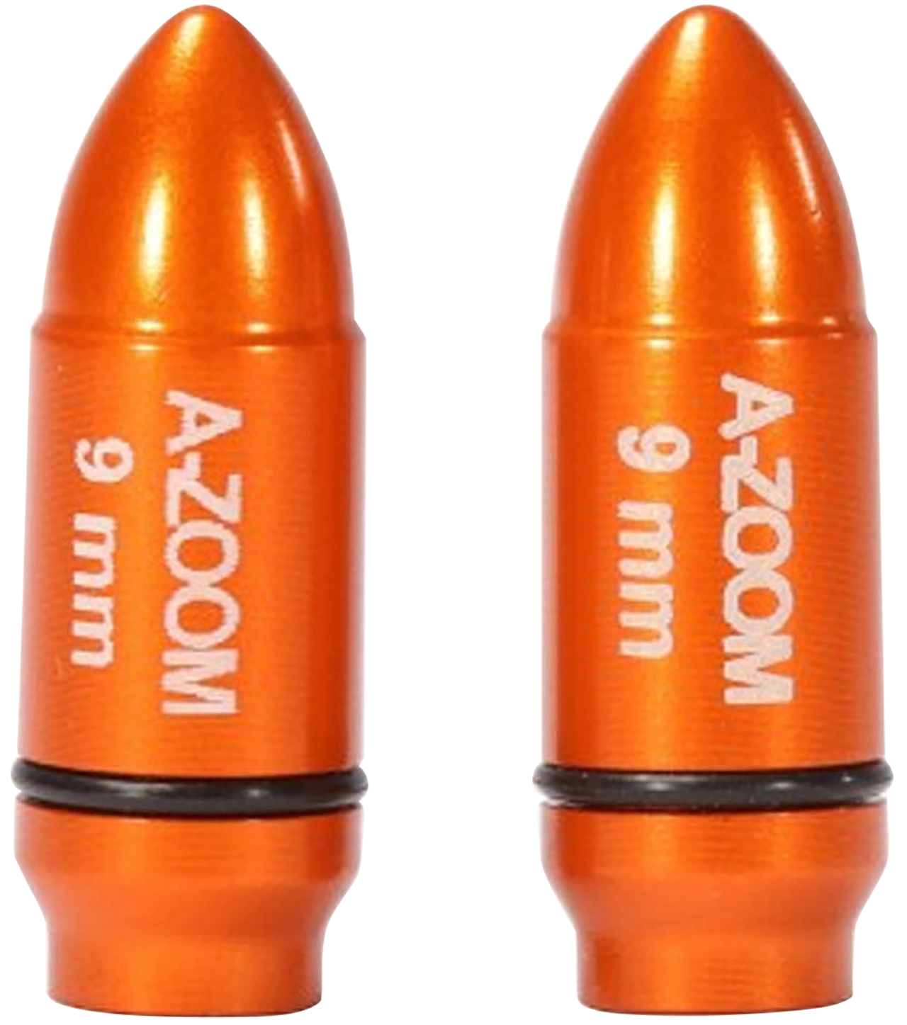 Vizards Guns and Ammo
