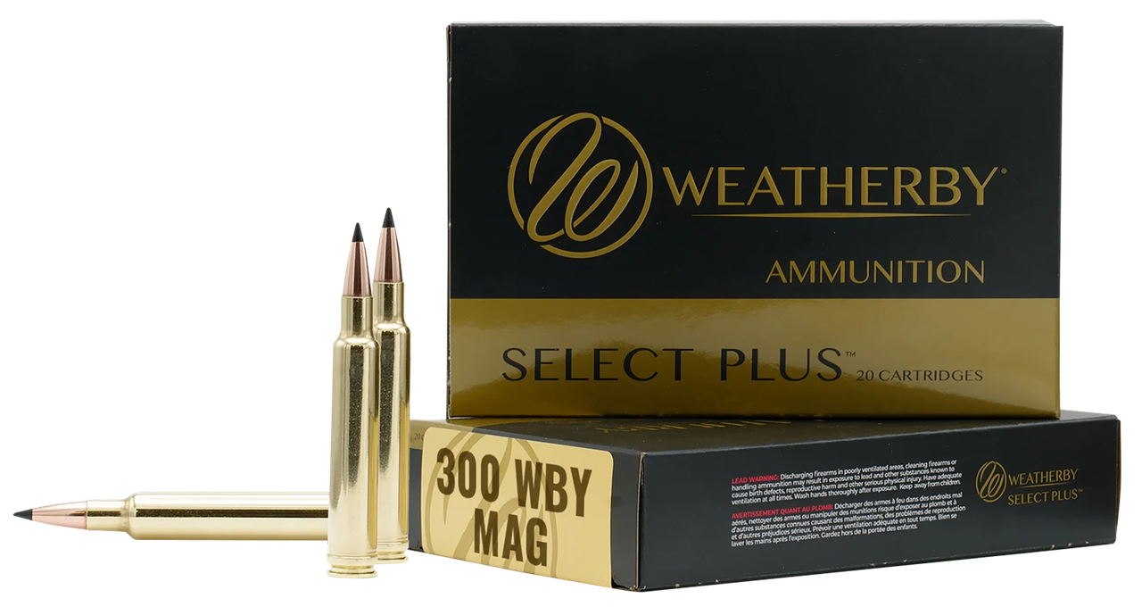 Vizards Guns and Ammo