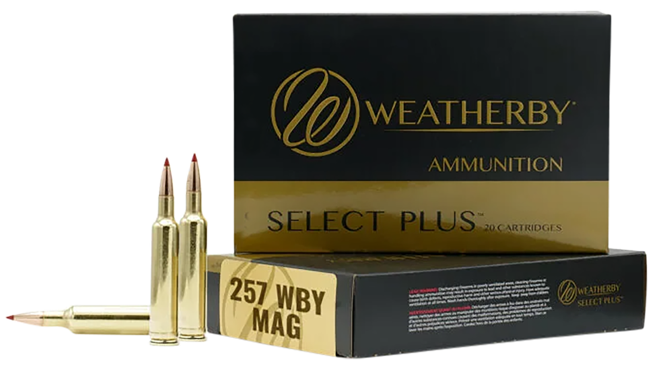 Vizards Guns and Ammo