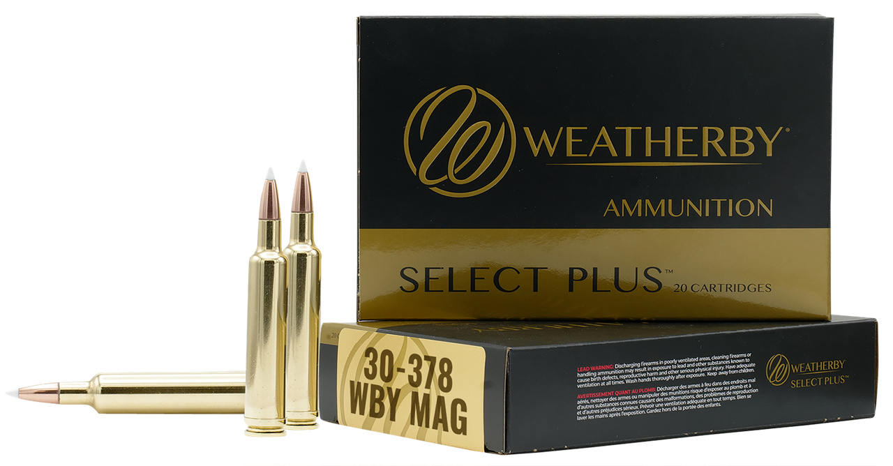 Vizards Guns and Ammo