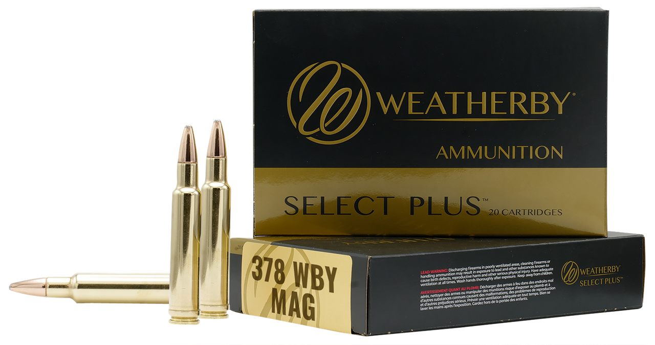 Vizards Guns and Ammo