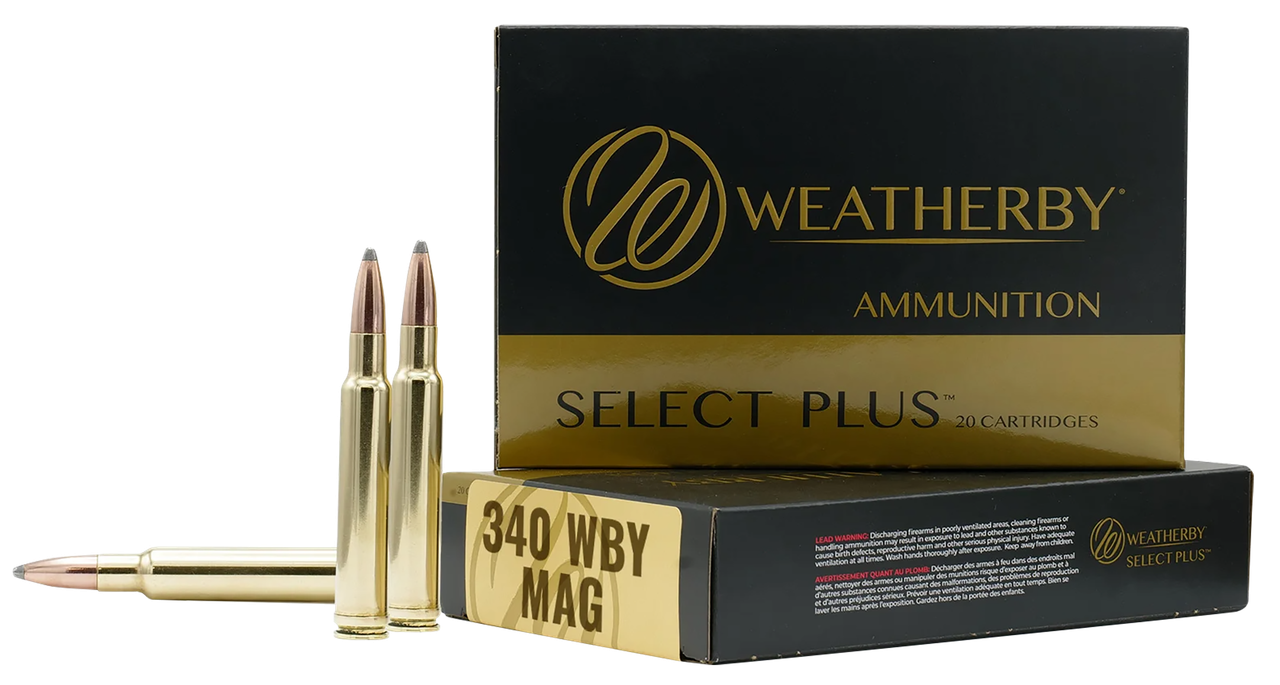 Vizards Guns and Ammo