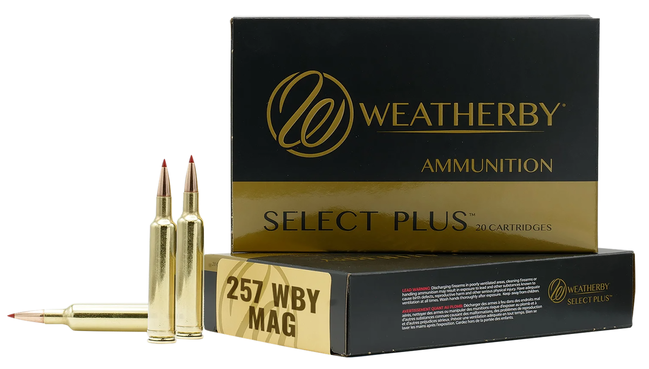 Vizards Guns and Ammo