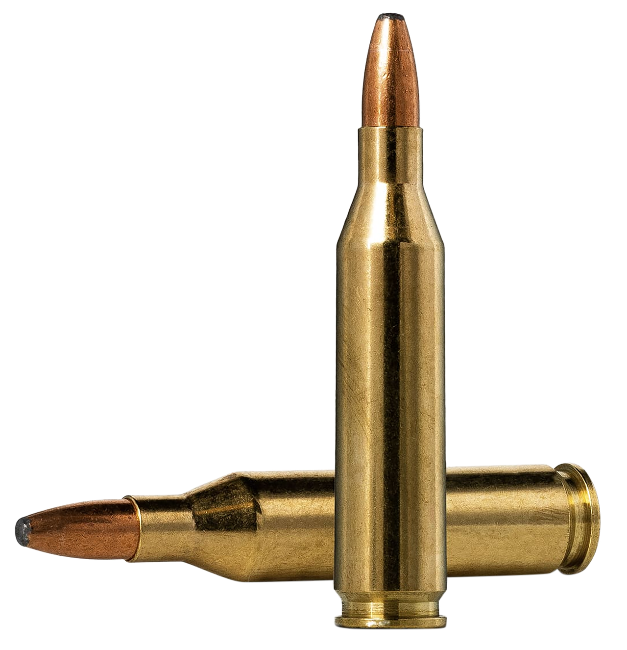 Vizards Guns and Ammo