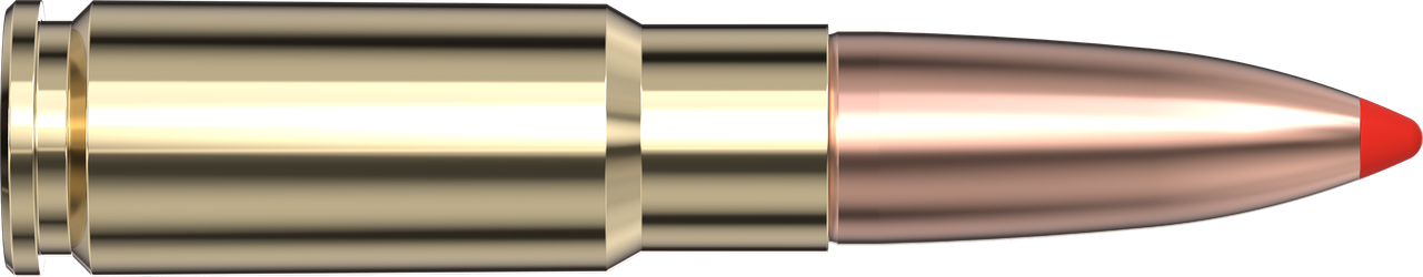 Vizards Guns and Ammo