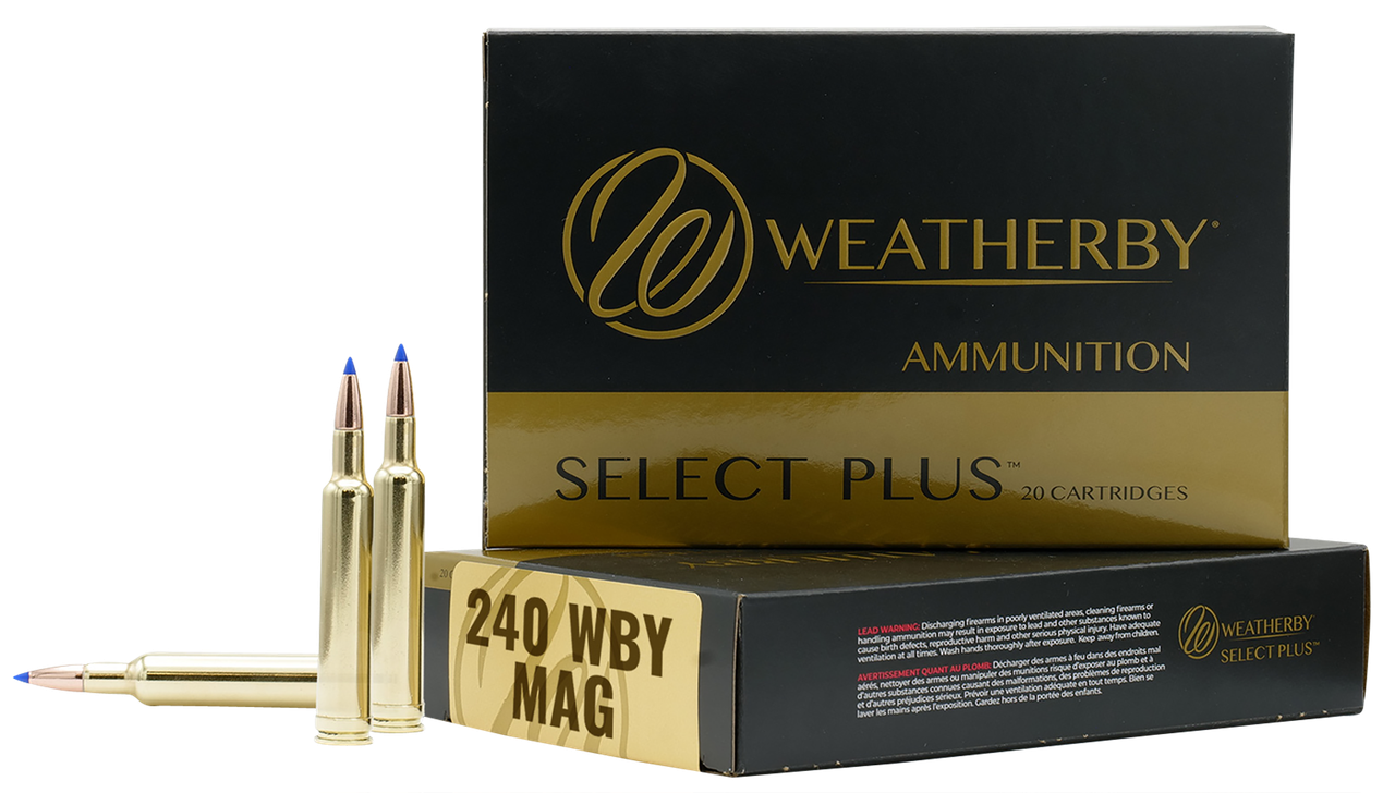 Vizards Guns and Ammo