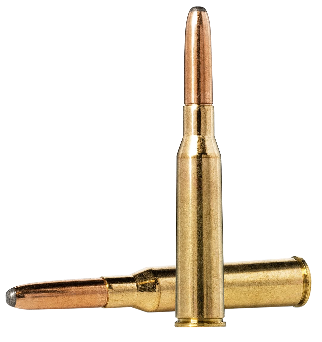 Vizards Guns and Ammo
