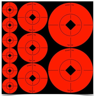 Vizards Guns and Ammo