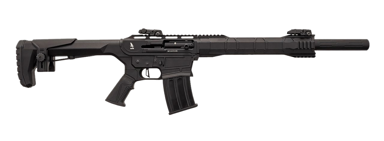Vizards Guns and Ammo