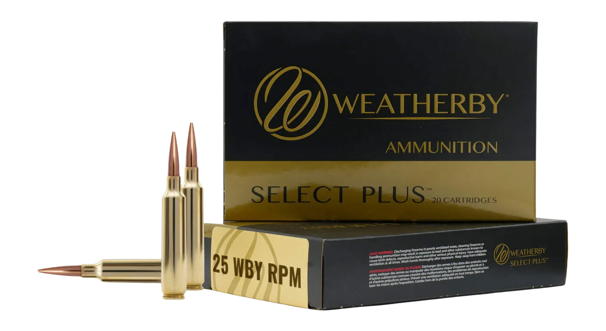 Vizards Guns and Ammo