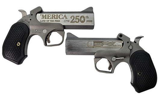 Vizards Guns and Ammo