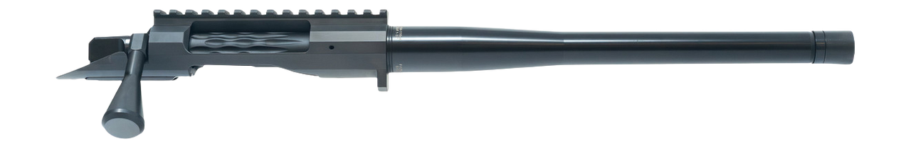 Vizards Guns and Ammo