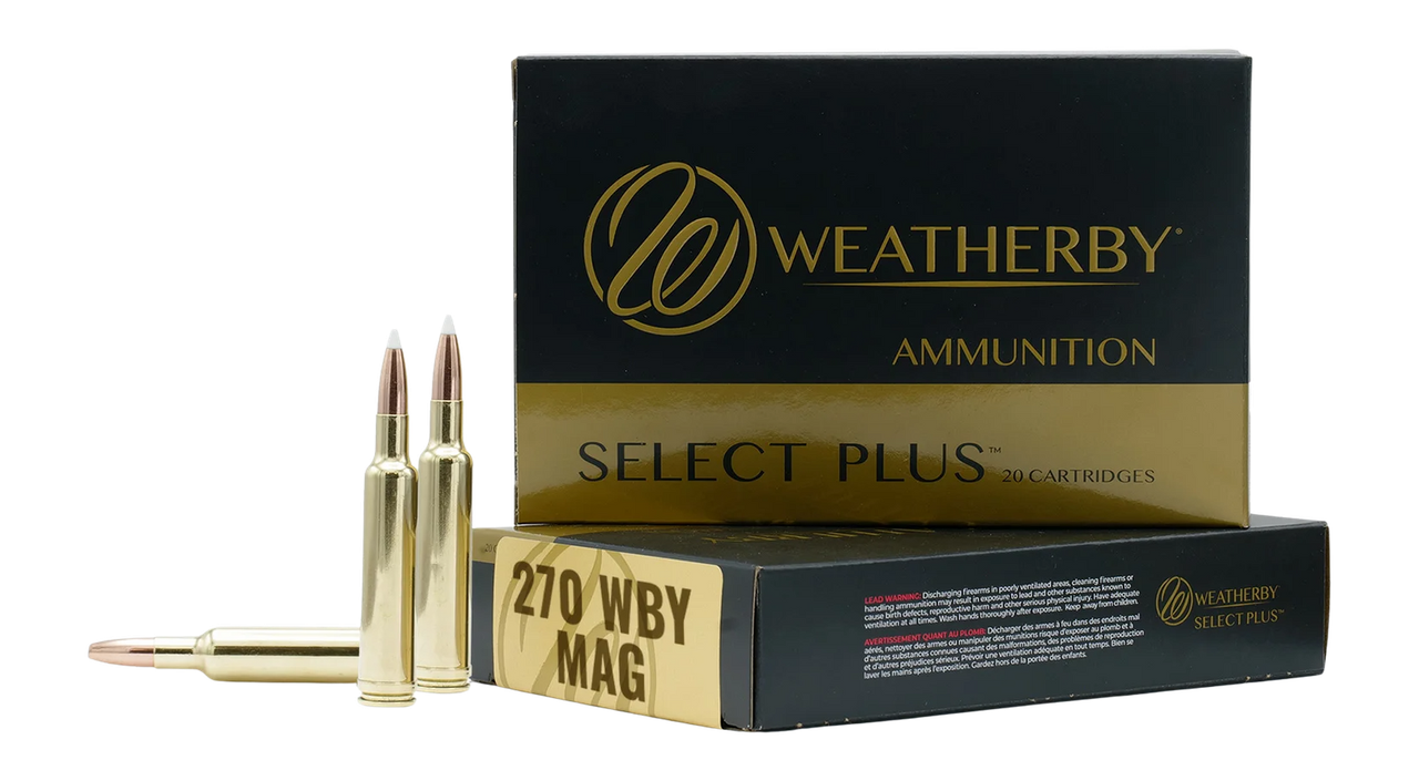 Vizards Guns and Ammo