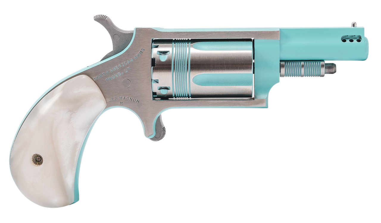 Vizards Guns and Ammo