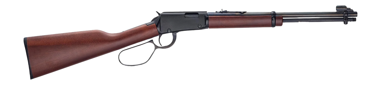 Vizards Guns and Ammo