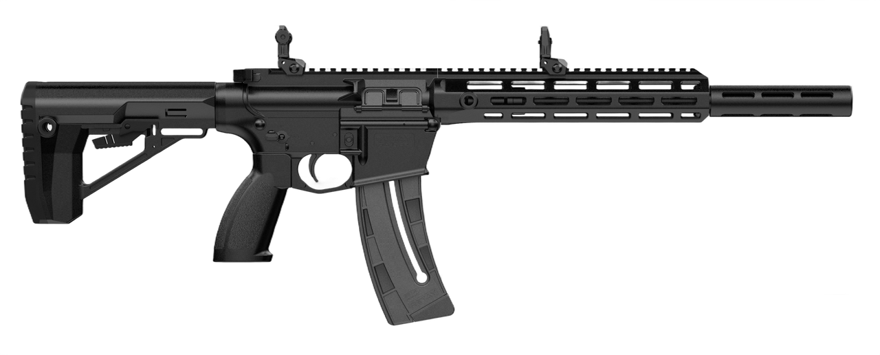 Vizards Guns and Ammo